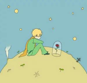 12509914_1113726578658778_4580046631233716234_n